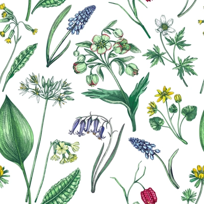 Spring flowers seamless pattern. Wildflowers background. Forest plant, greenery, wild flowers sketches. Hand drawn vector illustration. Not AI-generated